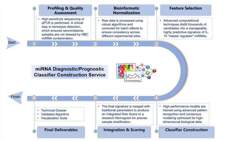 Core steps of miRNA diagnostic/prognostic classifier construction service. (Creative Biolabs Original)