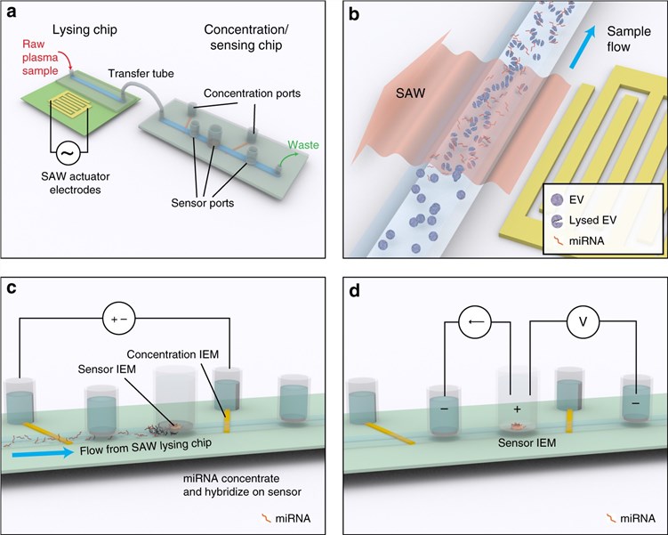 Fig 1. Design of the integrated microfluidic platform of circulating/exosomal miRNA. (OA Literature)