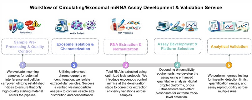 Core steps of circulating/exosomal miRNA assay development & validation service. (Creative Biolabs Original)