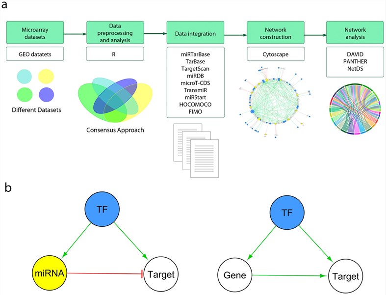 Fig 1. Analysis of microRNA and gene expression profiles. (OA Literature)
