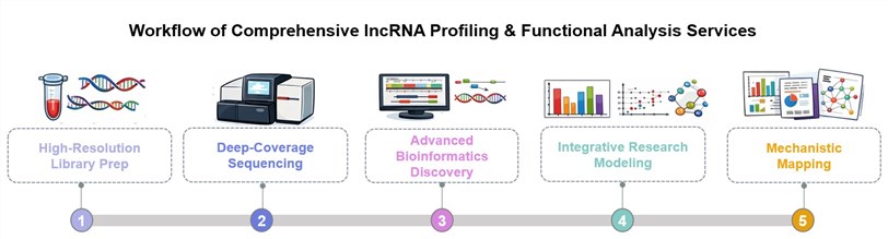 Core steps of lncRNA profiling & functional analysis services. (Creative Biolabs Original)
