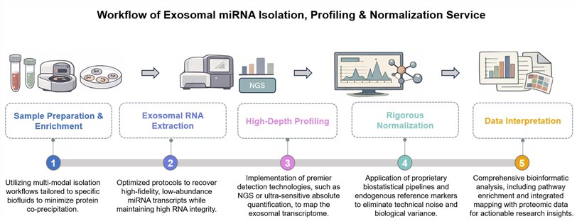 Core steps of exosomal miRNA isolation, profiling & normalization service. (Creative Biolabs Original)