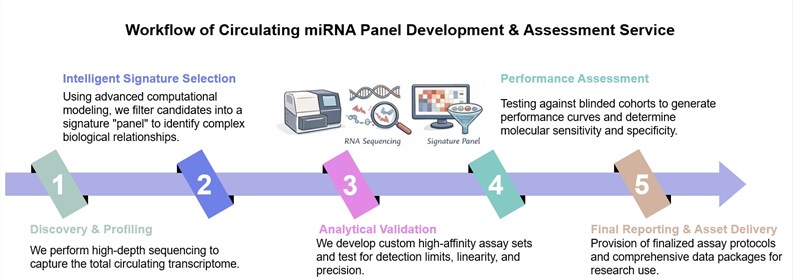 Core steps of circulating miRNA panel development & assessment service. (Creative Biolabs Original)