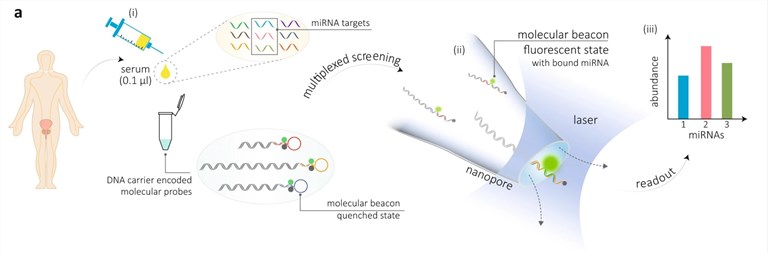Fig 1. Workflow for the detection of miRNAs directly from patient serum. (OA Literature)