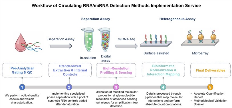 Core steps of circulating RNA/miRNA detection methods implementation service. (Creative Biolabs Original)