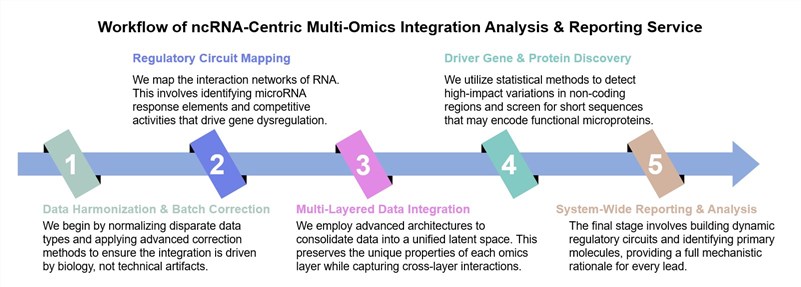 Core steps of ncRNA-centric multi-omics integration analysis & reporting service. (Creative Biolabs Original)