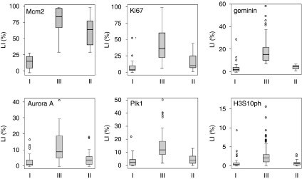 Fig.1 Three distinct cell-cycle phenotypes identified by biomarker expression in cancer. (OA Literature)