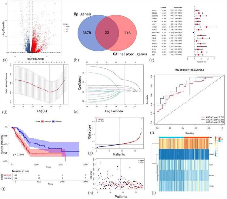 Fig.1 Characterization of dysregulated gene expression networks in pancreatic tumorigenesis. (OA Literature)