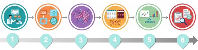 Fig.1 Stratification of patients into good (DSS) and poor (DSD) outcome groups. (OA Literature)