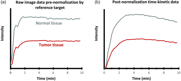 Fig.1 Illustration of ICG kinetics image normalization based on a fixed external fluorescent reference for compensating system gain variability. (OA Literature)