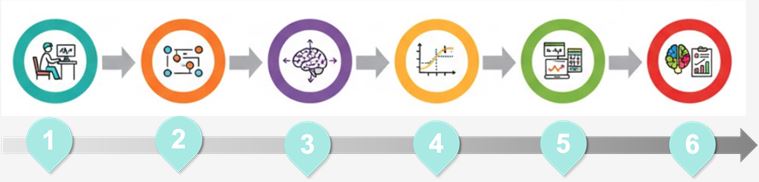 Workflow of vascular perfusion & permeability evaluation. (Creative Biolabs Original)