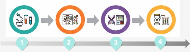 Workflow of vascular gene & protein expression profiling. (Creative Biolabs Original)