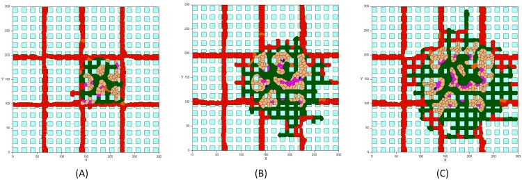 Fig.1 Tumor-associated vascular development in the presence of adjacent healthy tissue. (OA Literature)