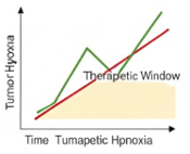 Vascular Normalization Window Mapping (Creative Biolabs-AI)