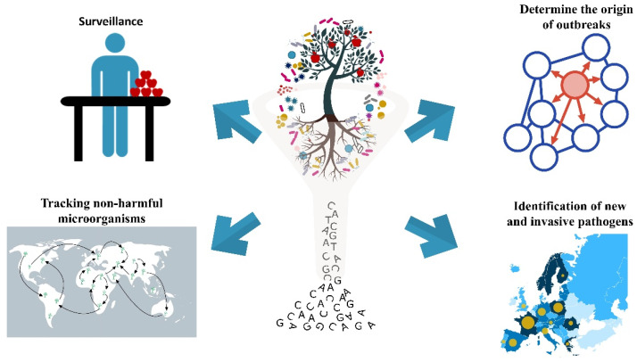 Fig.1 Exploring the uses of shotgun and amplicon metagenomics. (OA Literature)