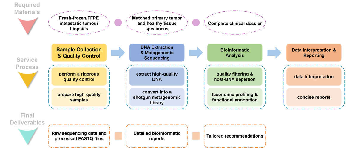 Flowchart of metagenomics-based metastatic tumor microbiome analysis service. (Creative Biolabs Original)