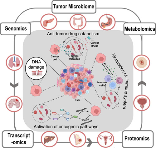 Fig.1 Exploring the role of microbiome in cancer progression through multi-omics approaches. (OA Literature)