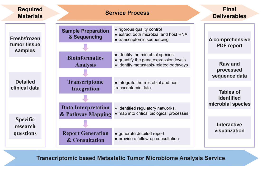 Flowchart of transcriptomic-based metastatic tumor microbiome analysis service. (Creative Biolabs Original)