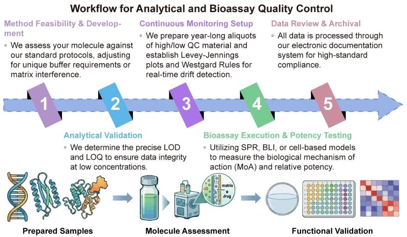 A simple procedure for analytical and bioassay quality control. (Creative Biolabs Original)