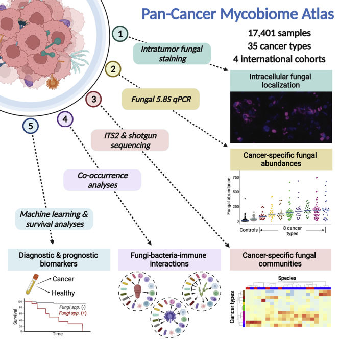 Fig.1 The pan-cancer microbiome profile. (OA Literature)