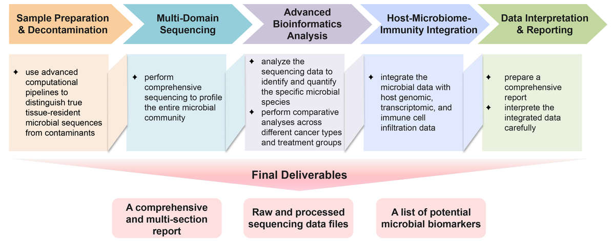 Flowchart of pan-cancer based metastatic tumor microbiome analysis service. (Creative Biolabs Original)