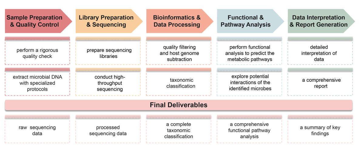 Flowchart of tumor resident microbiome composition analysis service. (Creative Biolabs Original)