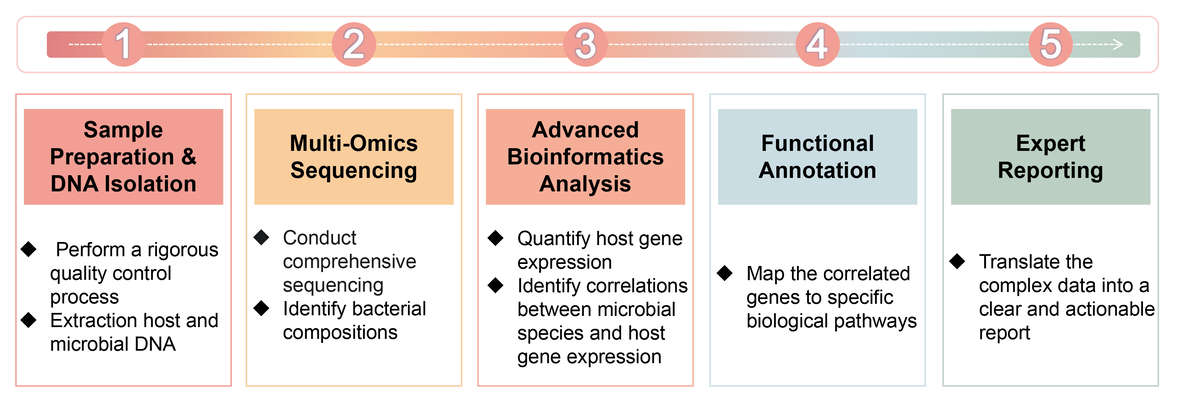 Key steps of ligand-mediated targeting-based antibody production services. (Creative Biolabs Original)
