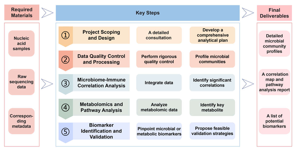 Flowchart of microbial communities and host immunity correlation analysis service. (Creative Biolabs Original)