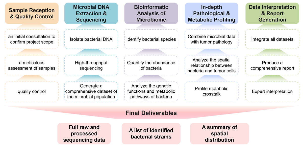 Flowchart of hypoxic tumor anaerobic bacteria analysis service. (Creative Biolabs Original)