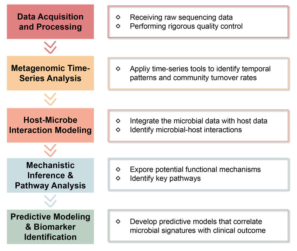 Flowchart of time-dependent evolution analysis service for microbial communities in metastases. (Creative Biolabs Original)