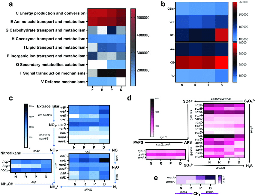 Fig.1 Analysis of Four Mangrove Root-Compartments Microbiota Using Shotgun Metagenome Sequencing