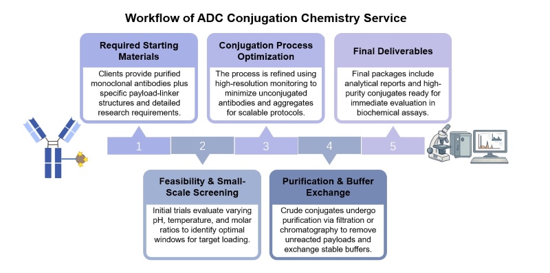 Core steps of ADC conjugation chemistry service. (Creative Biolabs Original)