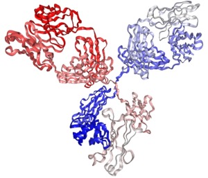 Fig.1 Biochemistry characterization of bispecific antibodies. (Creative Biolabs Original)