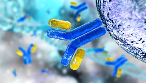 Stability analysis of bispecific antibody. (Creative Biolabs Original)