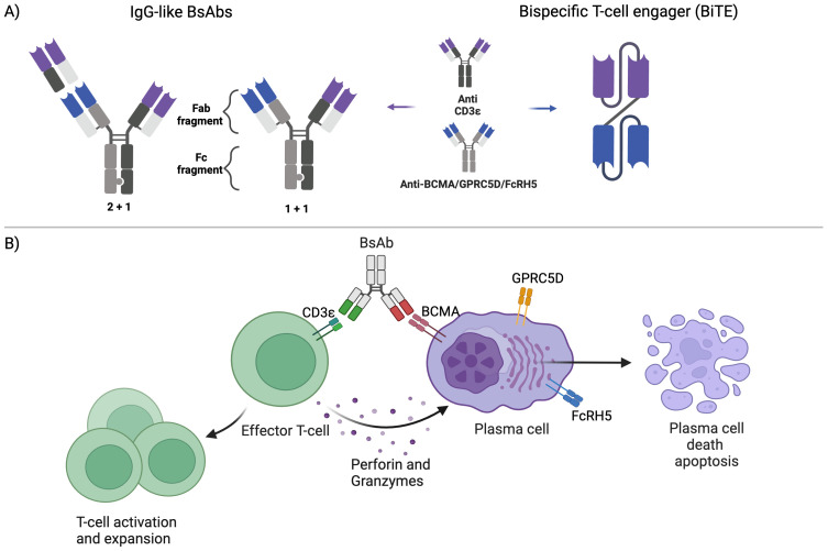 Fig.1 Mechanism of bispecific antibodies. (OA Literature)