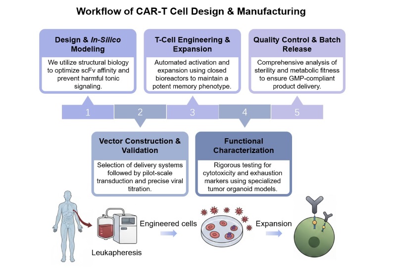 Core steps of chimeric antigen receptor (CAR) T cell design and manufacturing service. (Creative Biolabs Original)