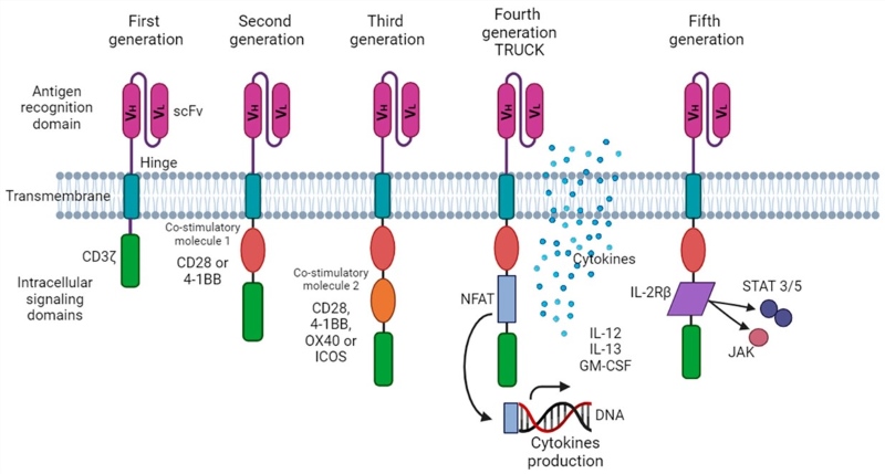 Fig.1 Schematic of CAR-T cell architecture across five generations. (OA Literature)