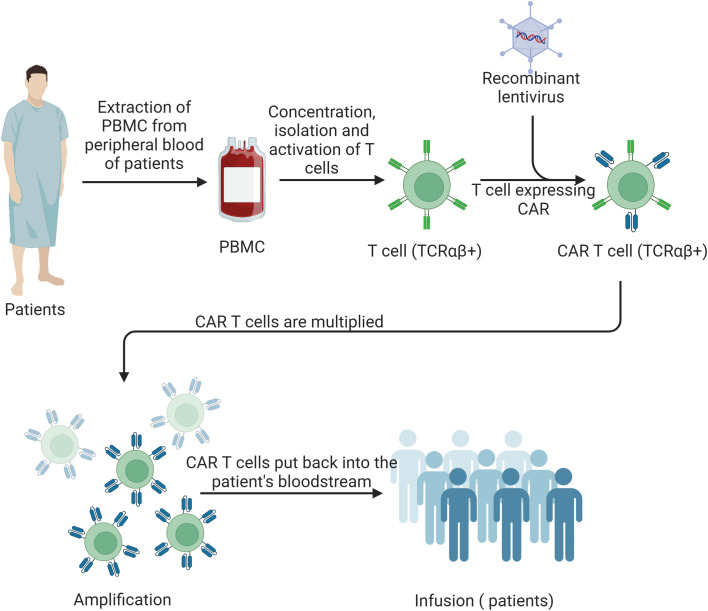 Fig.1 Schematic of CAR-T cell production and therapeutic Infusion. (OA Literature)
