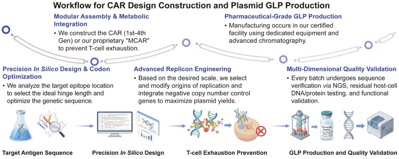 A simple procedure for CAR design construction and plasmid GLP production. (Creative Biolabs Original)