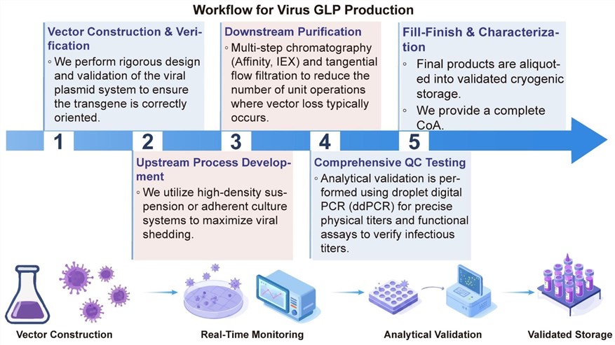 A simple procedure for virus GLP production. (Creative Biolabs Original)