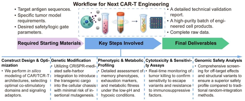 A simple procedure for next CAR-T engineering. (Creative Biolabs Original)