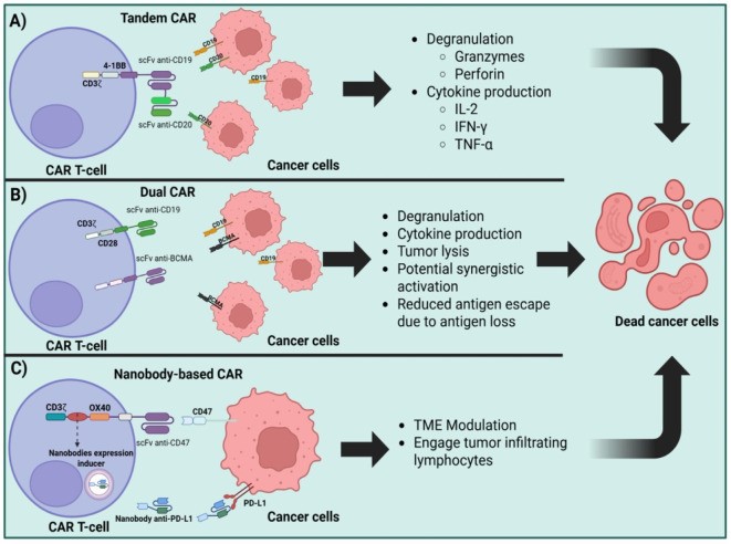 Fig.1 Multi-antigen targeting and TME immune reprogramming: Next-generation strategies for CAR T cells. (OA Literature)