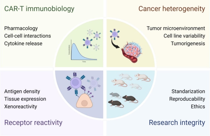 Fig.1 Navigating the complexities of mouse models for preclinical CAR-T cell evaluation. (OA Literature)