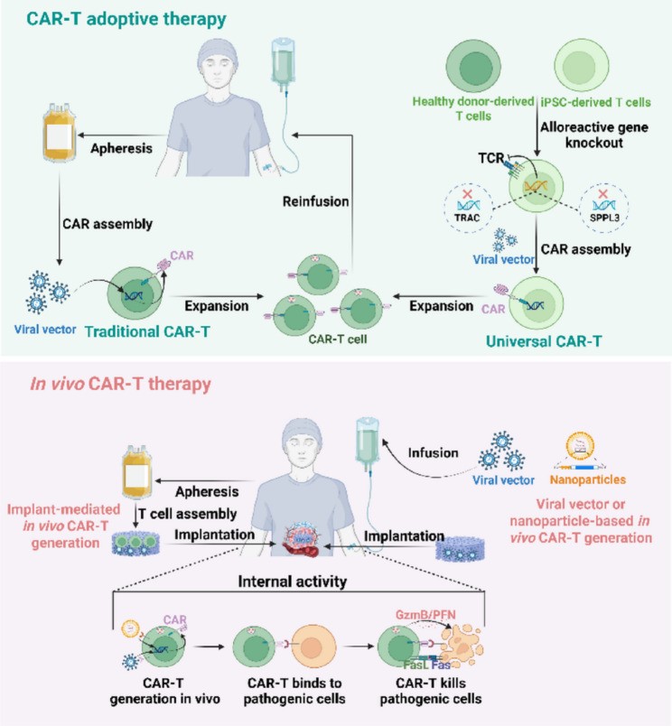 Fig.1 Engineering immunity: Technical strategies for adoptive and in vivo CAR-T therapy. (OA Literature)