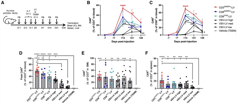 Fig.1 Single-shot intravenous injection of targeted lentiviral vectors generates functional CAR T cells in vivo for cancer immunotherapy. (OA Literature)