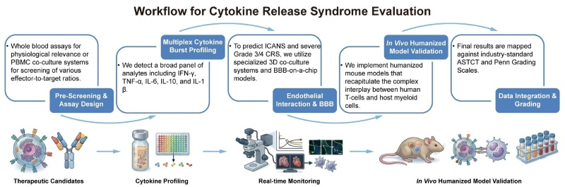 A simple procedure for cytokine release syndrome evaluation. (Creative Biolabs Original)