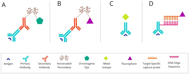 Fig.1 Decoding the mechanisms underlying mIHC and mIF techniques. (OA Literature)
