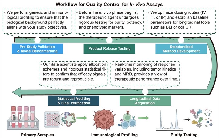 A simple procedure for quality control for in vivo assays. (Creative Biolabs Original)
