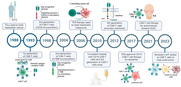 Fig.1 The key milestones from the first TIL treatment of metastatic cancer to the newest CAR-T cell therapy application. (OA Literature)