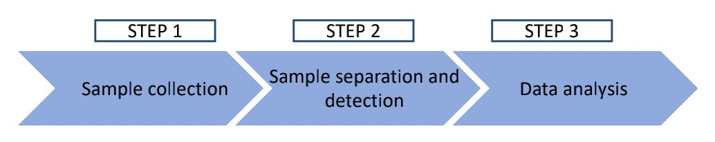 The Process of Metabolomics Assessment. (Creative Biolabs Original)